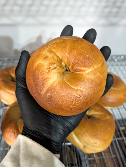 Plain Bagel